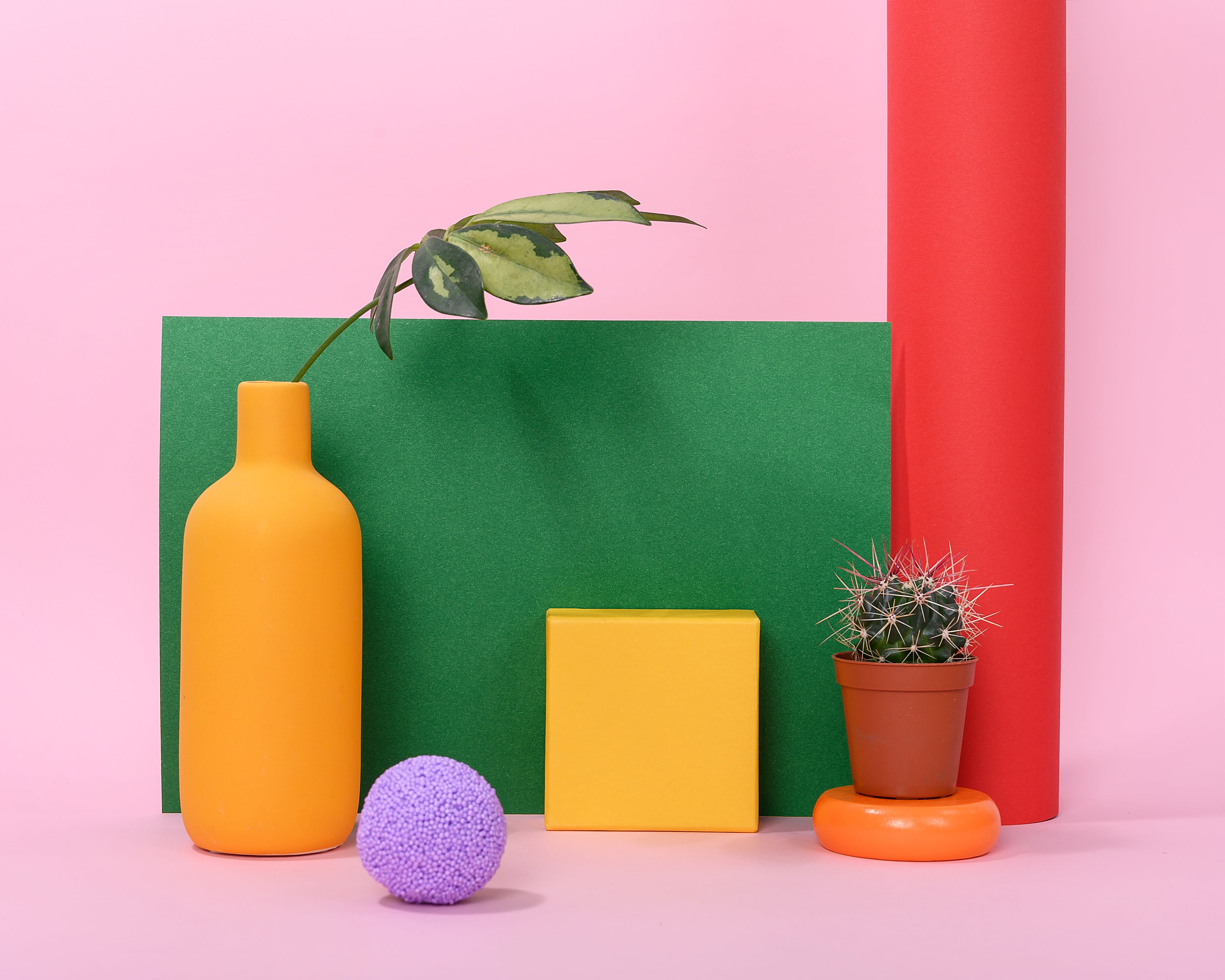 Correct Spelling: Acclimation vs. Acclamation