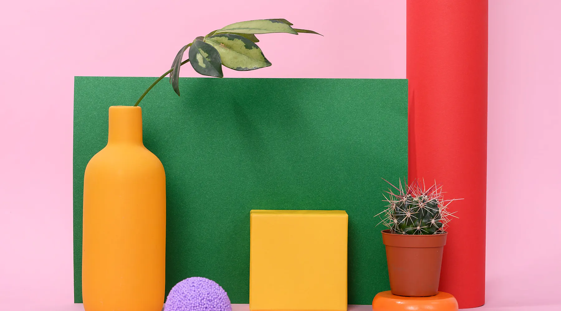 Correct Spelling: Acclimation vs. Acclamation