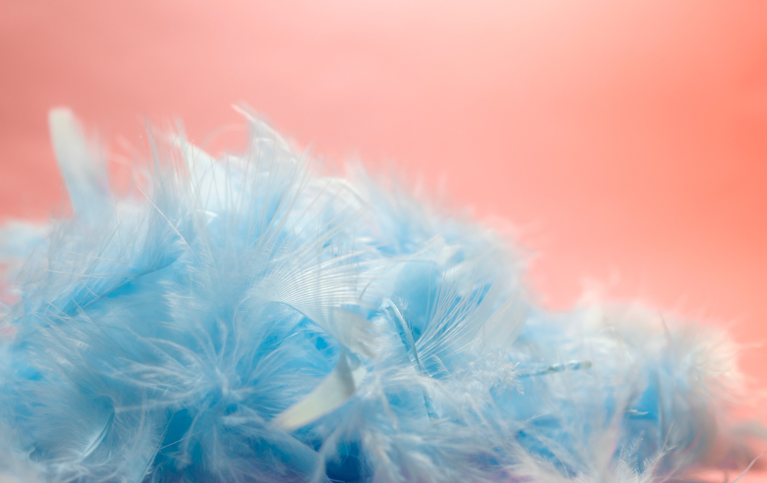 Cutting the Fluff: Essential Tips for Streamlined Content
