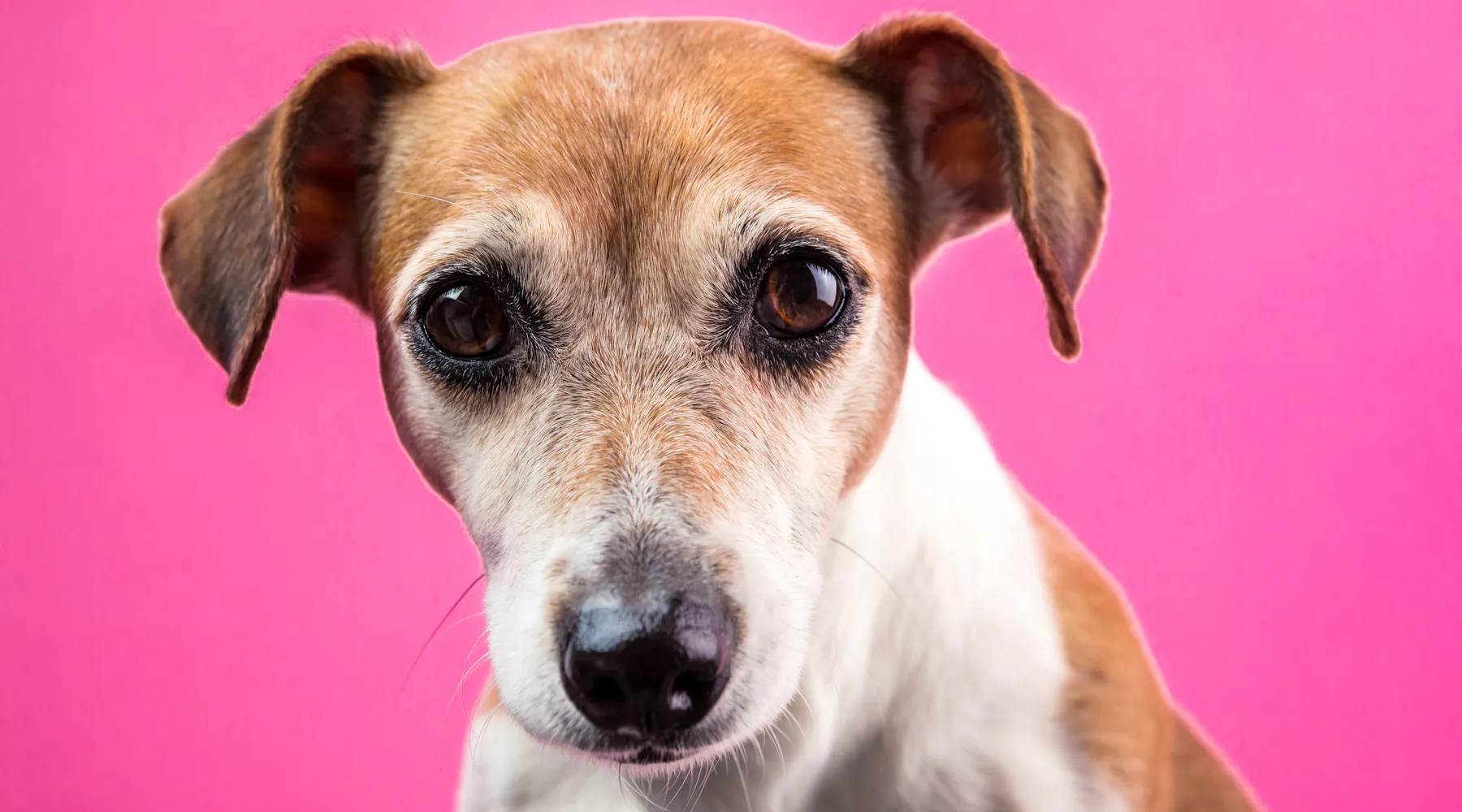 Demystifying Words that Start with D