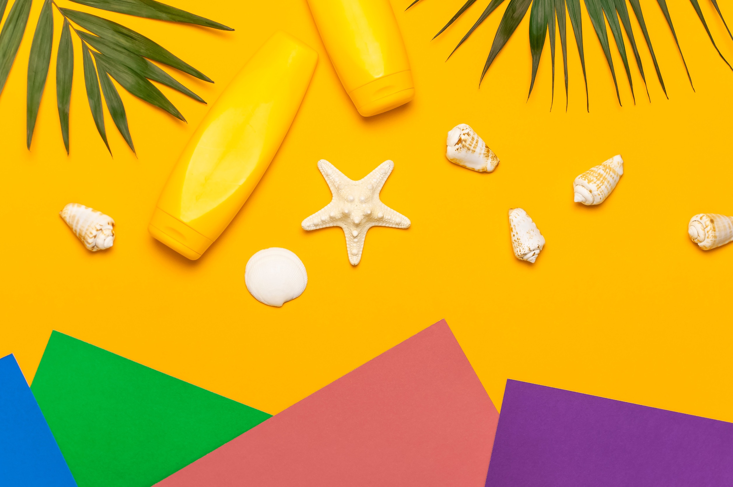 Bachelor or Bachelor's Degree: Understanding the Correct Usage