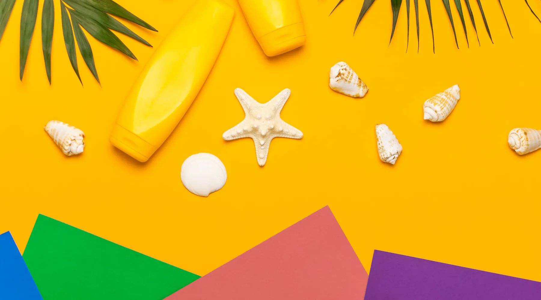 Bachelor or Bachelor's Degree: Understanding the Correct Usage