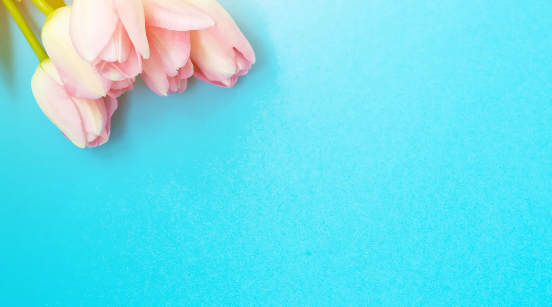 The Art of Spelling 'Usage' Correctly