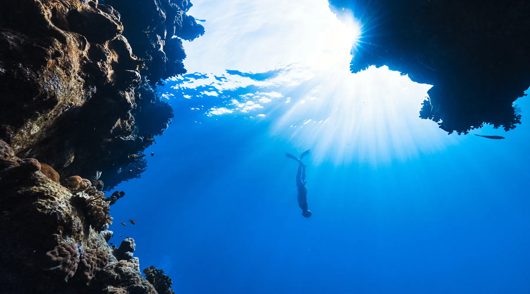 A Grand List of Adjectives That Start With 'N'