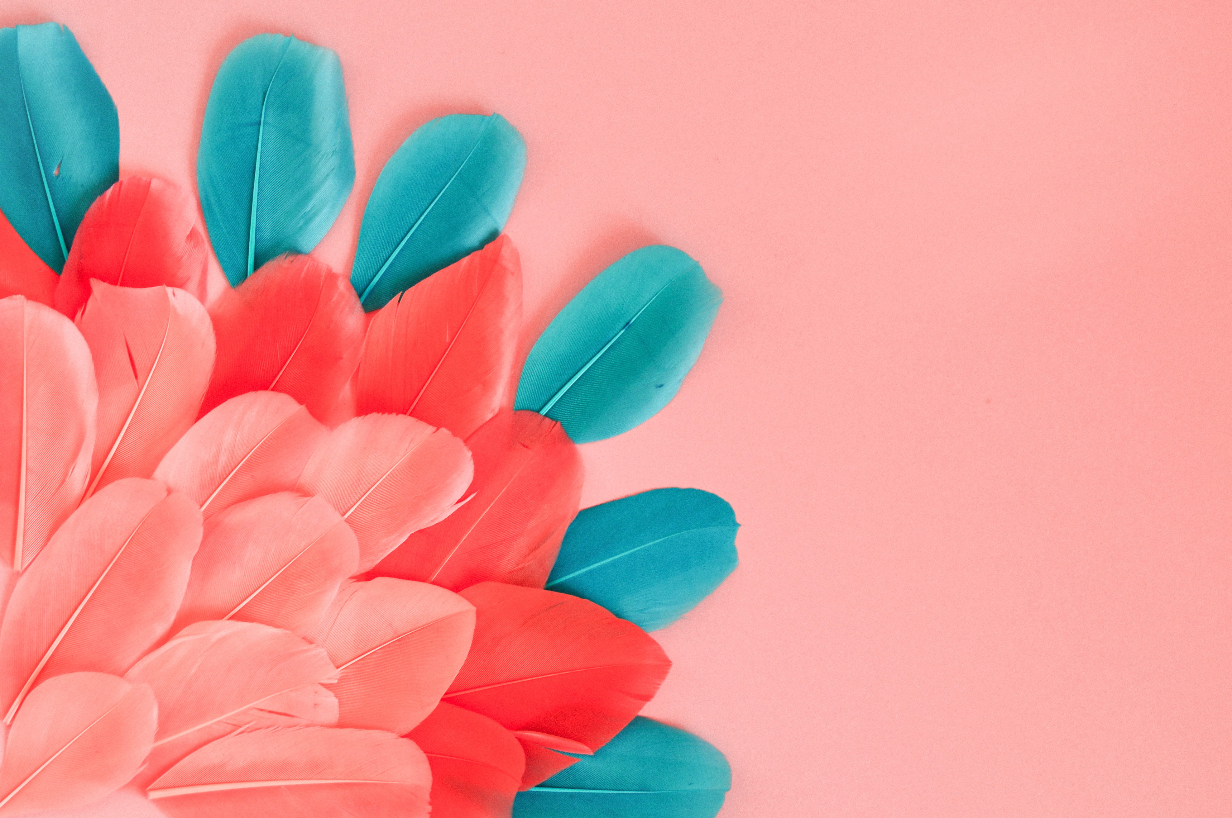 Decoding "JFC" Meaning: What Does JFC Stand For?