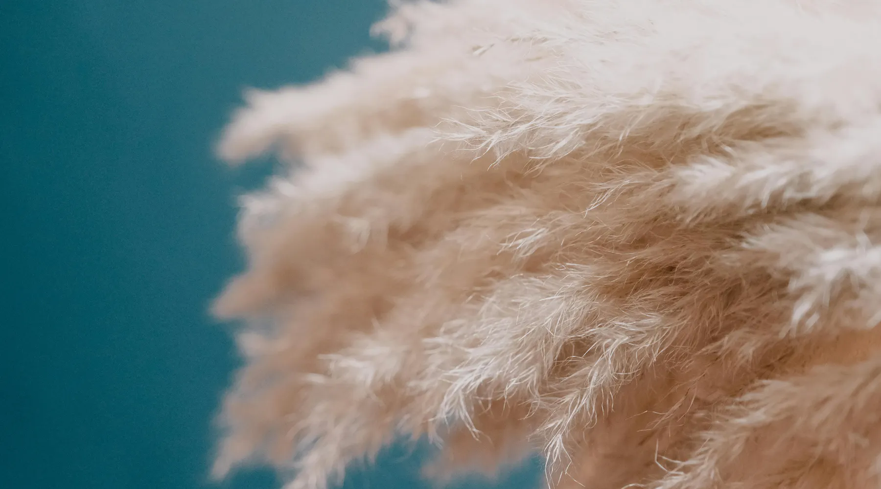 Unraveling the Intricacies of Irony: Real-World Examples