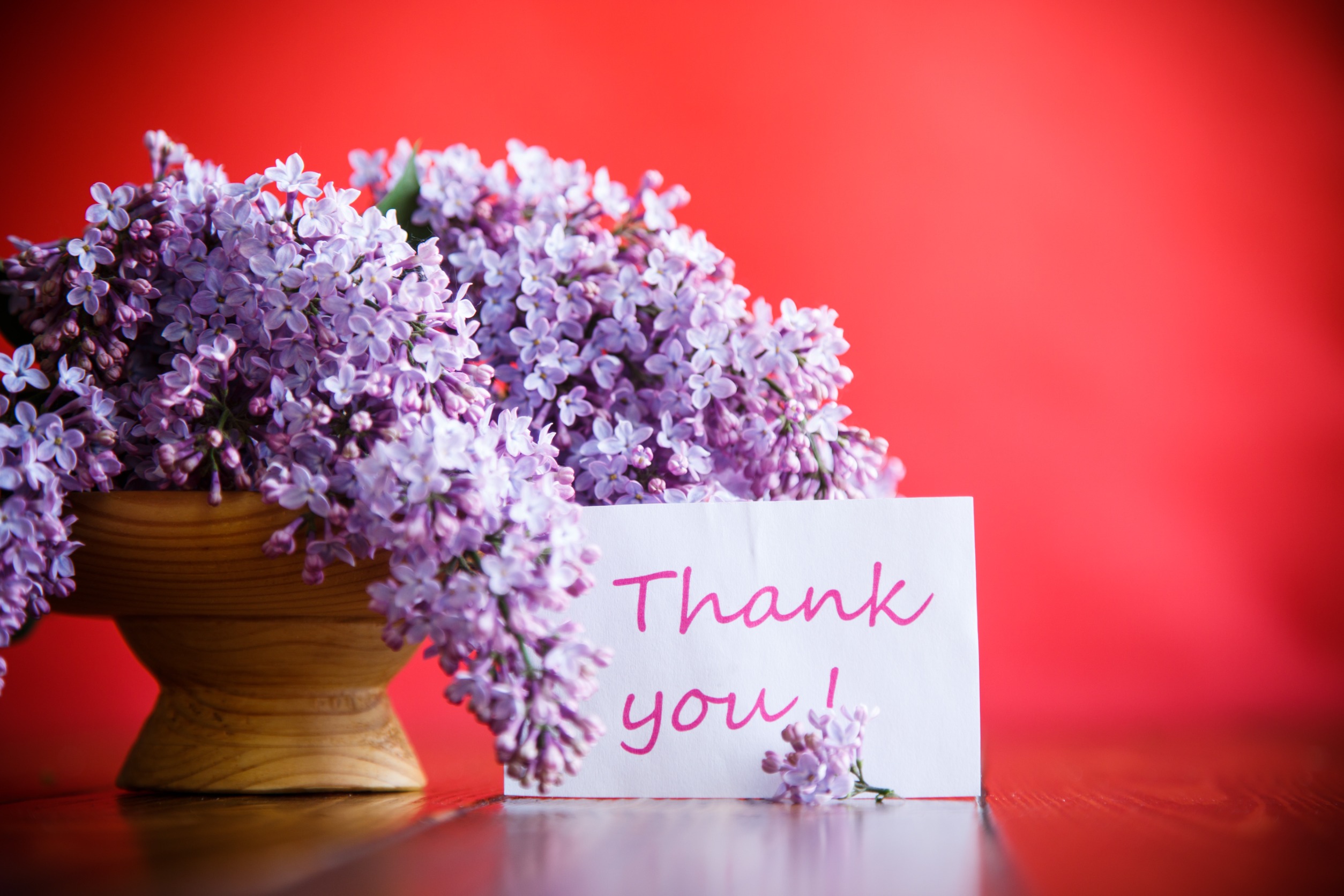 Grateful or Greatful: Understanding the Correct Spelling