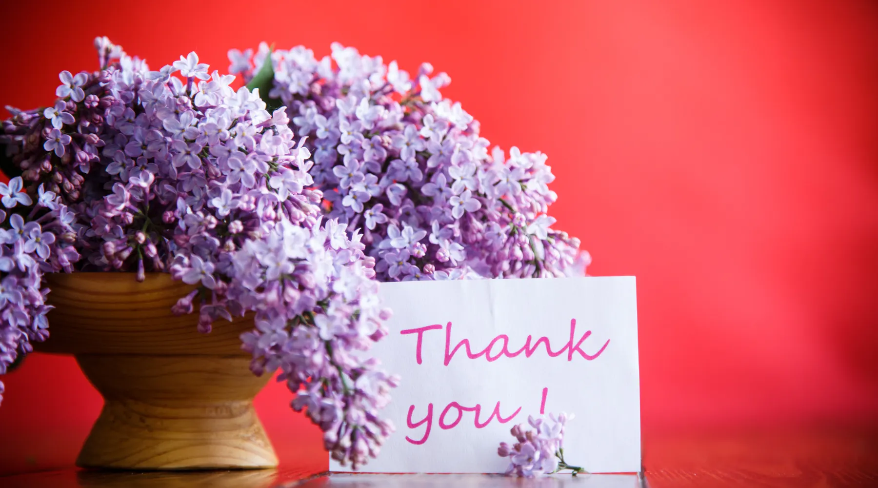 Grateful or Greatful: Understanding the Correct Spelling