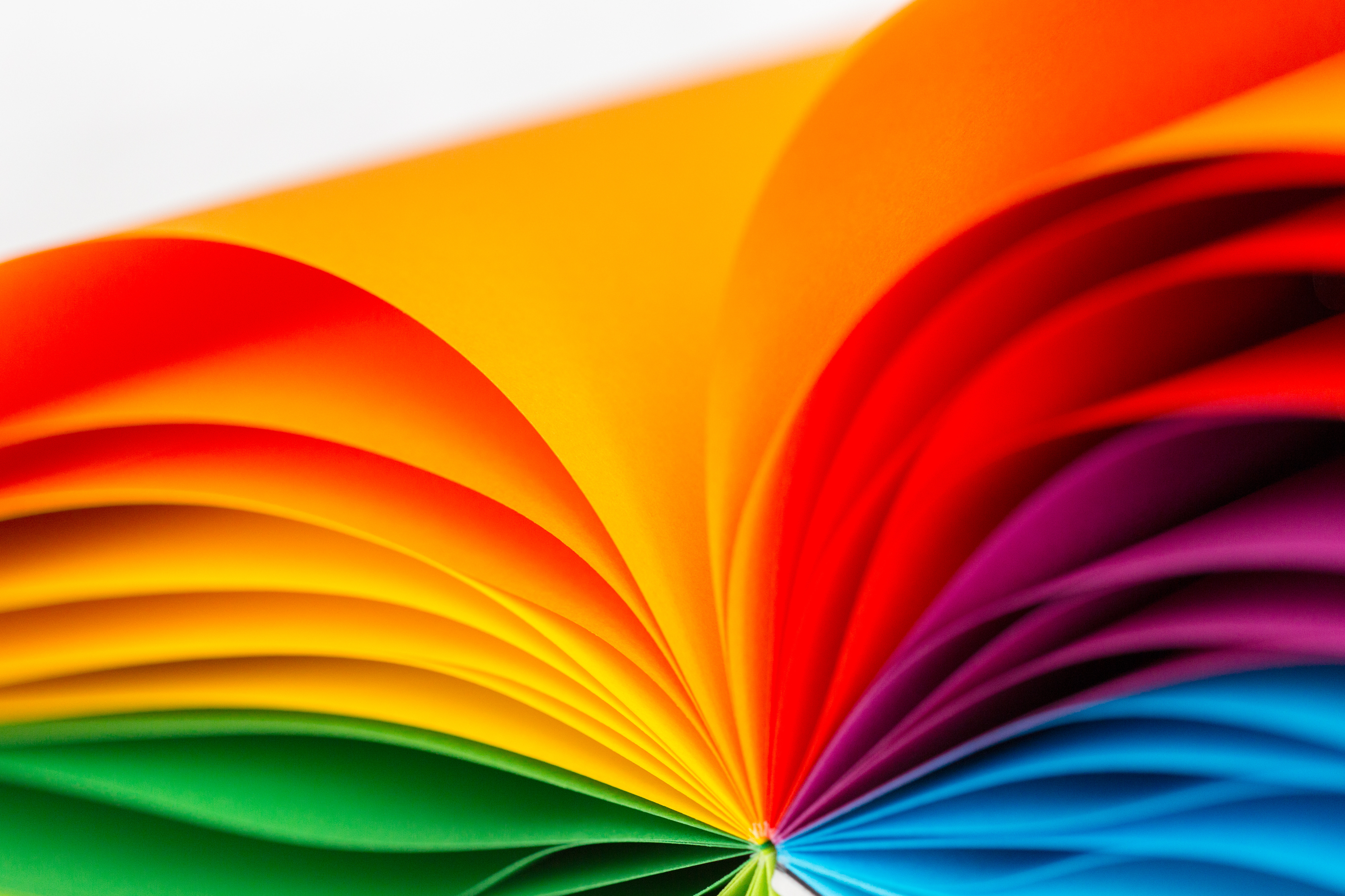 To Not vs. Not To: Exploring the Fine Line in English Grammar