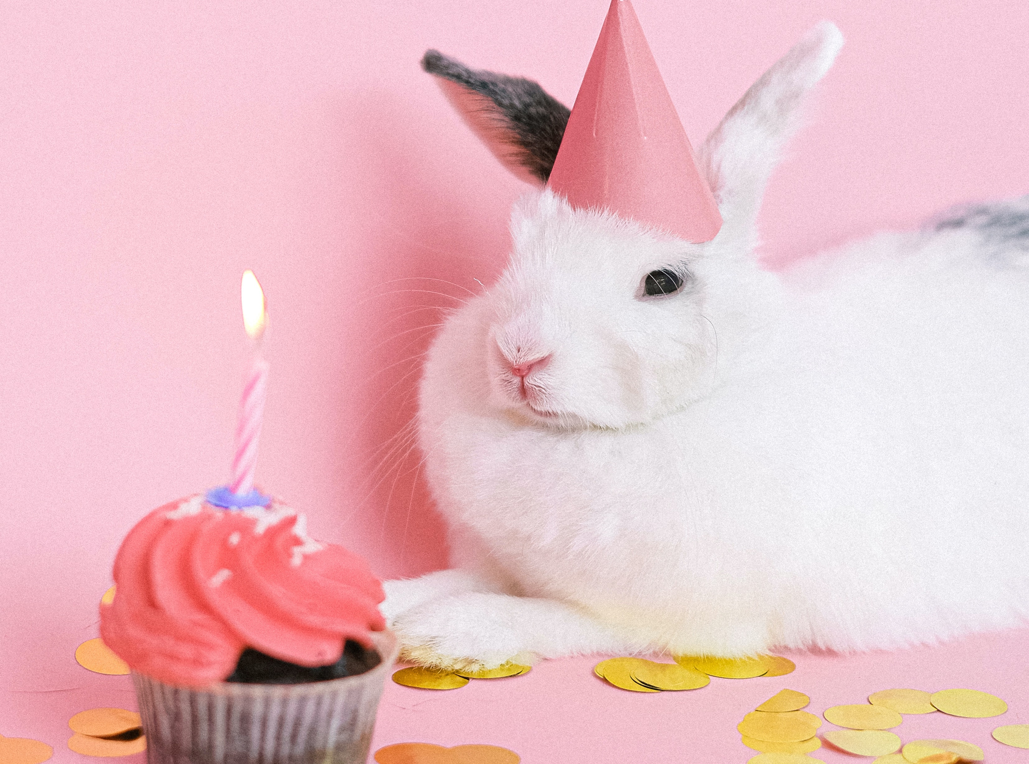 How to create a SaaS SEO strategy