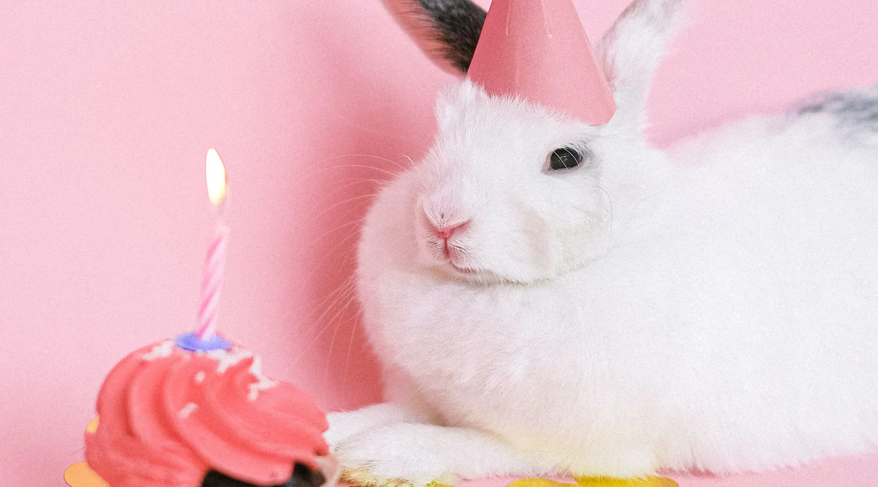 How to create a SaaS SEO strategy