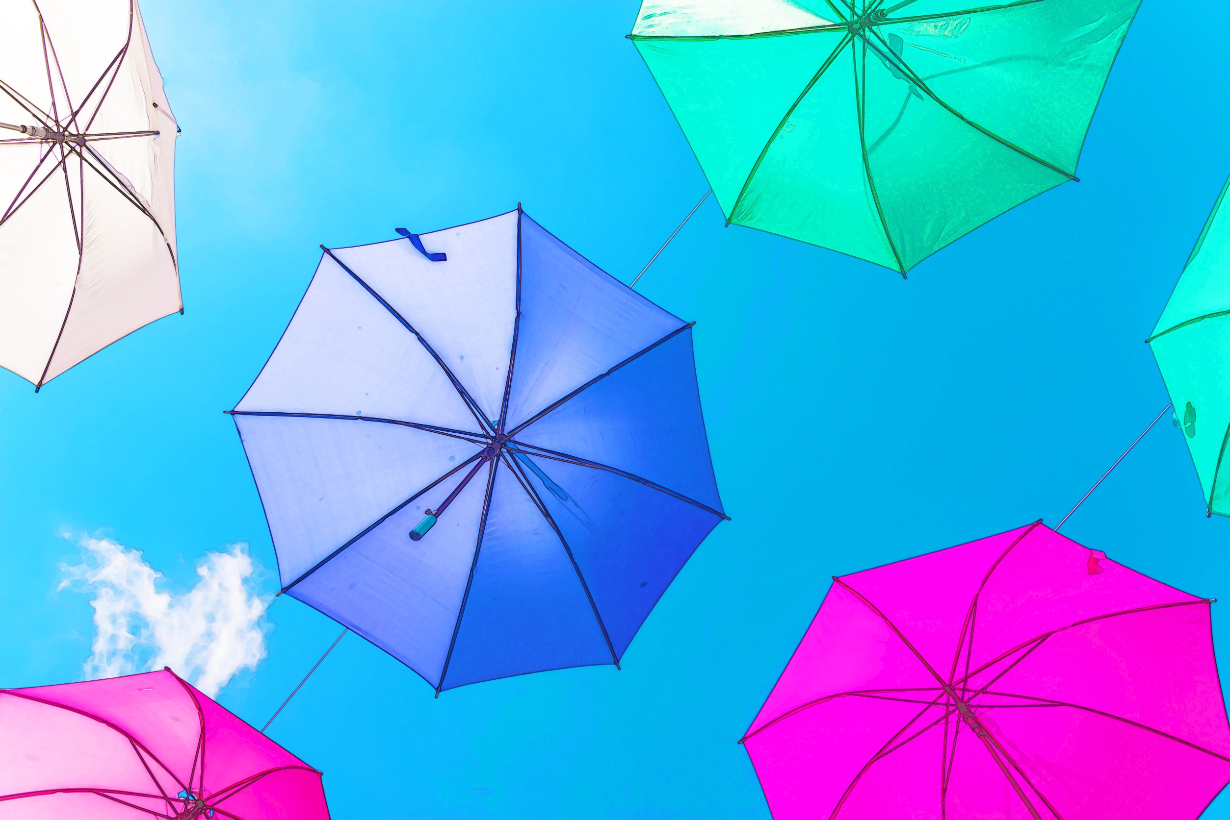 Unveiling Words That Start With 'U': A Unique Lexical Journey