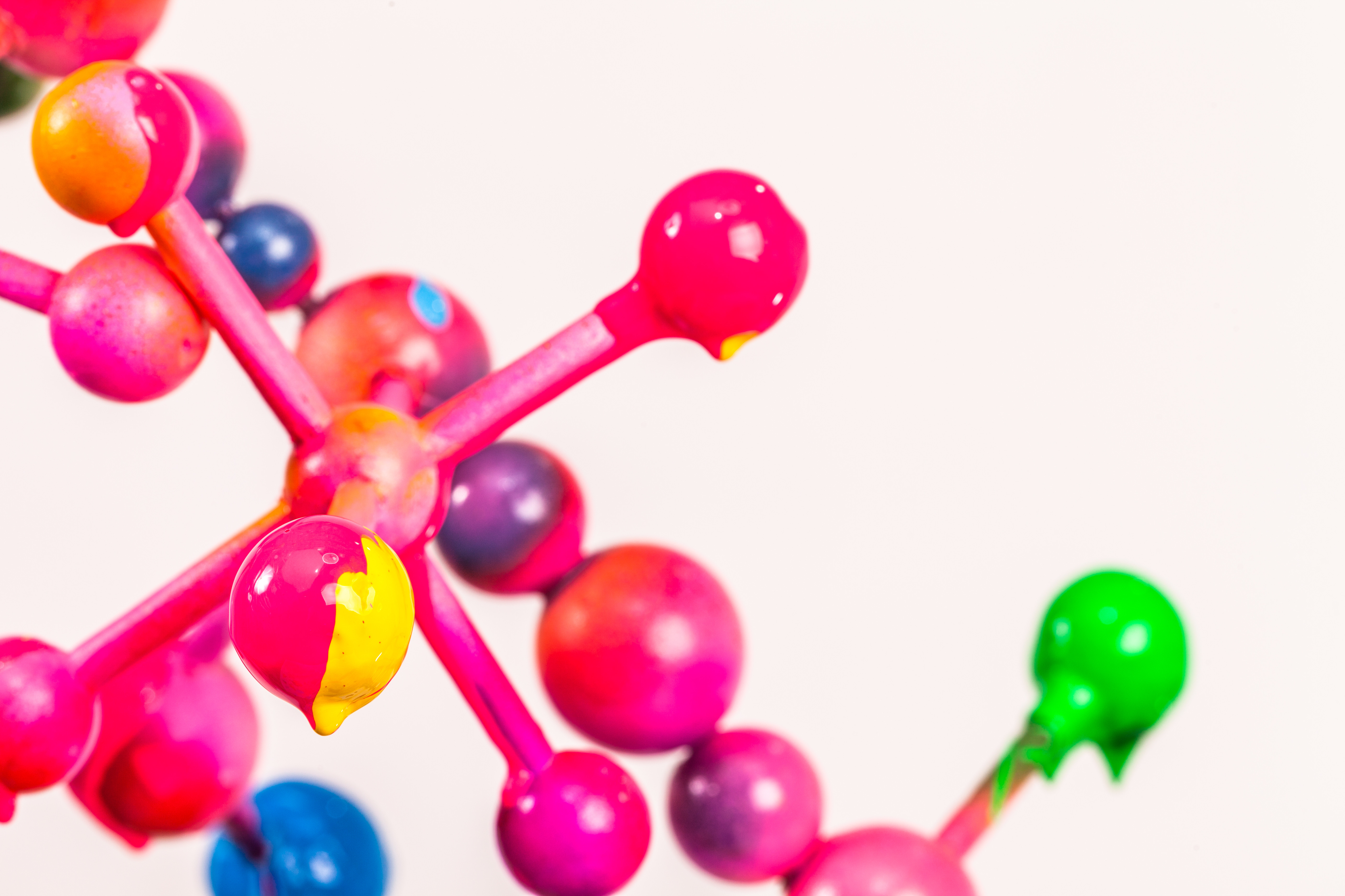 Subjective vs Objective: Navigating the Seas of Perception