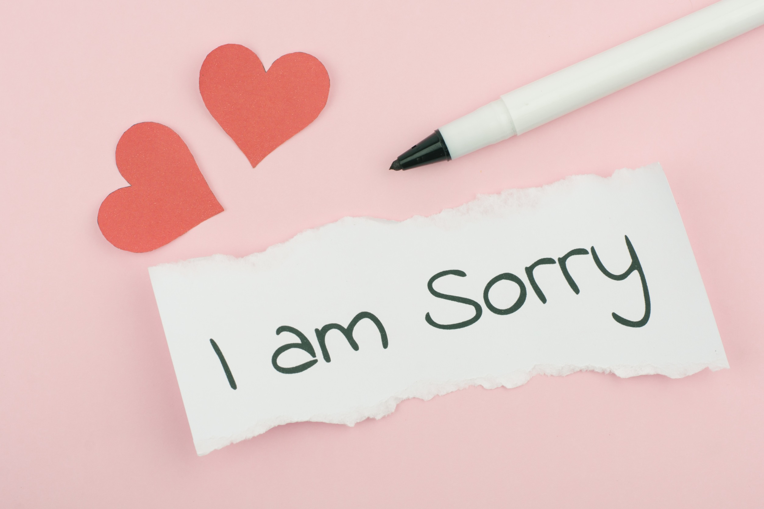 Apologise or Apologize: Mastering the Correct Spelling