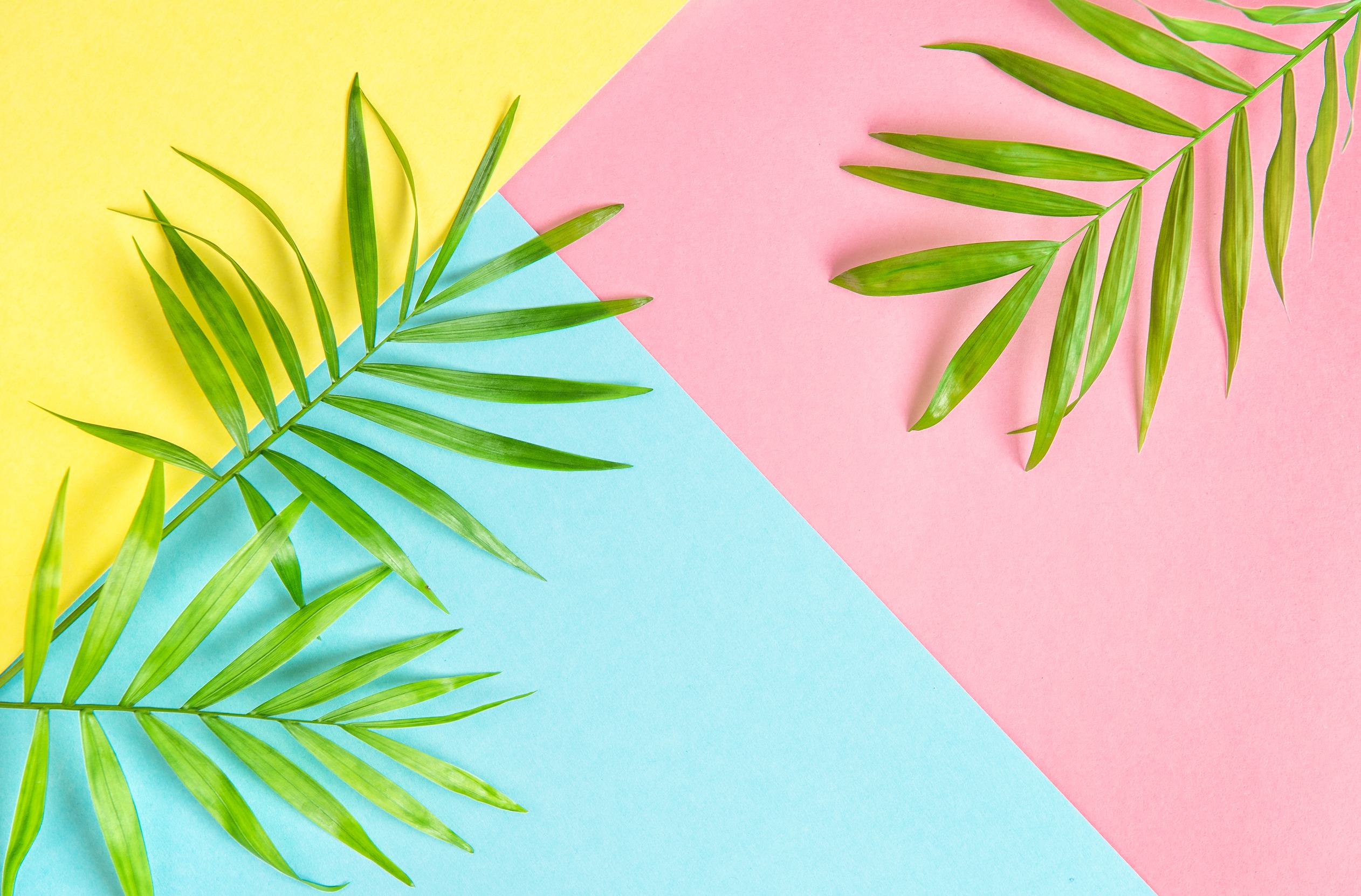 Losing or Loosing? Unraveling the Confusion