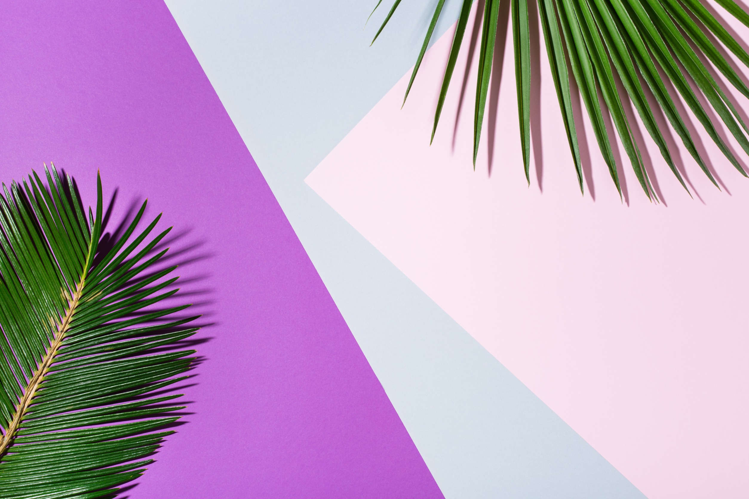 Mastering Parentheses in Mathematics: A Comprehensive Guide