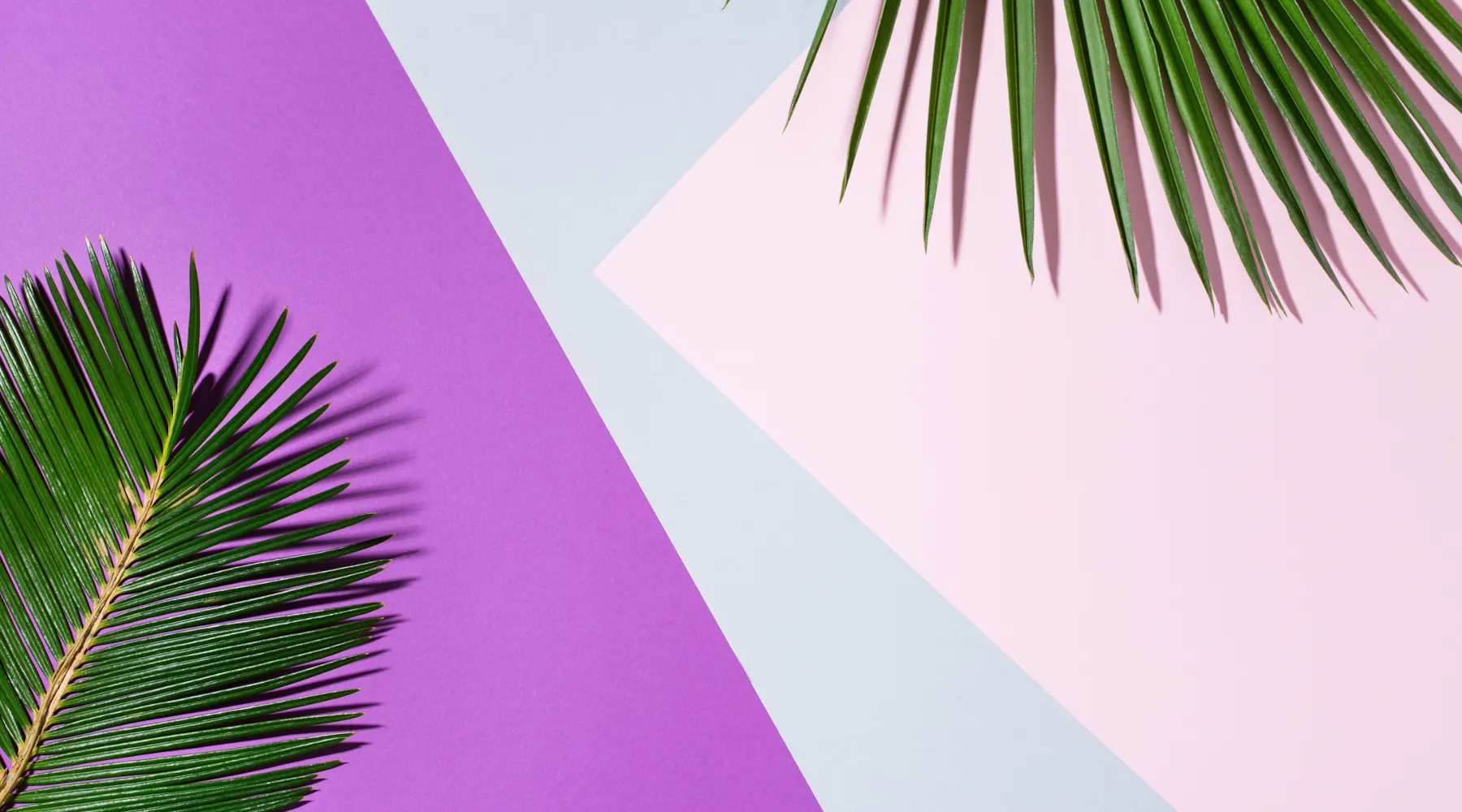 Mastering Parentheses in Mathematics: A Comprehensive Guide