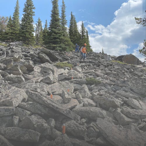 sustainable seismic surveying STRYDE