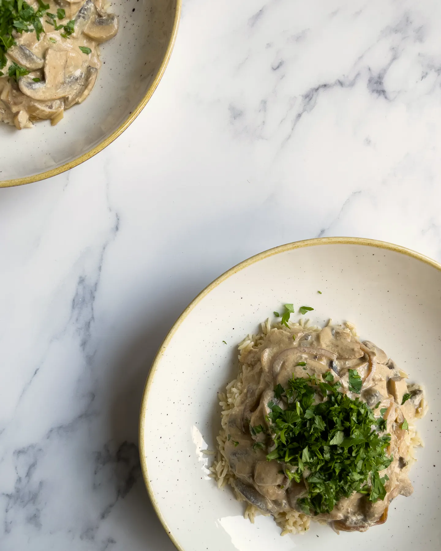 Mushroom stroganoff - Stryve