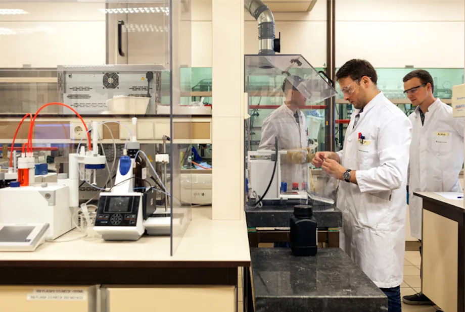 Maastricht University