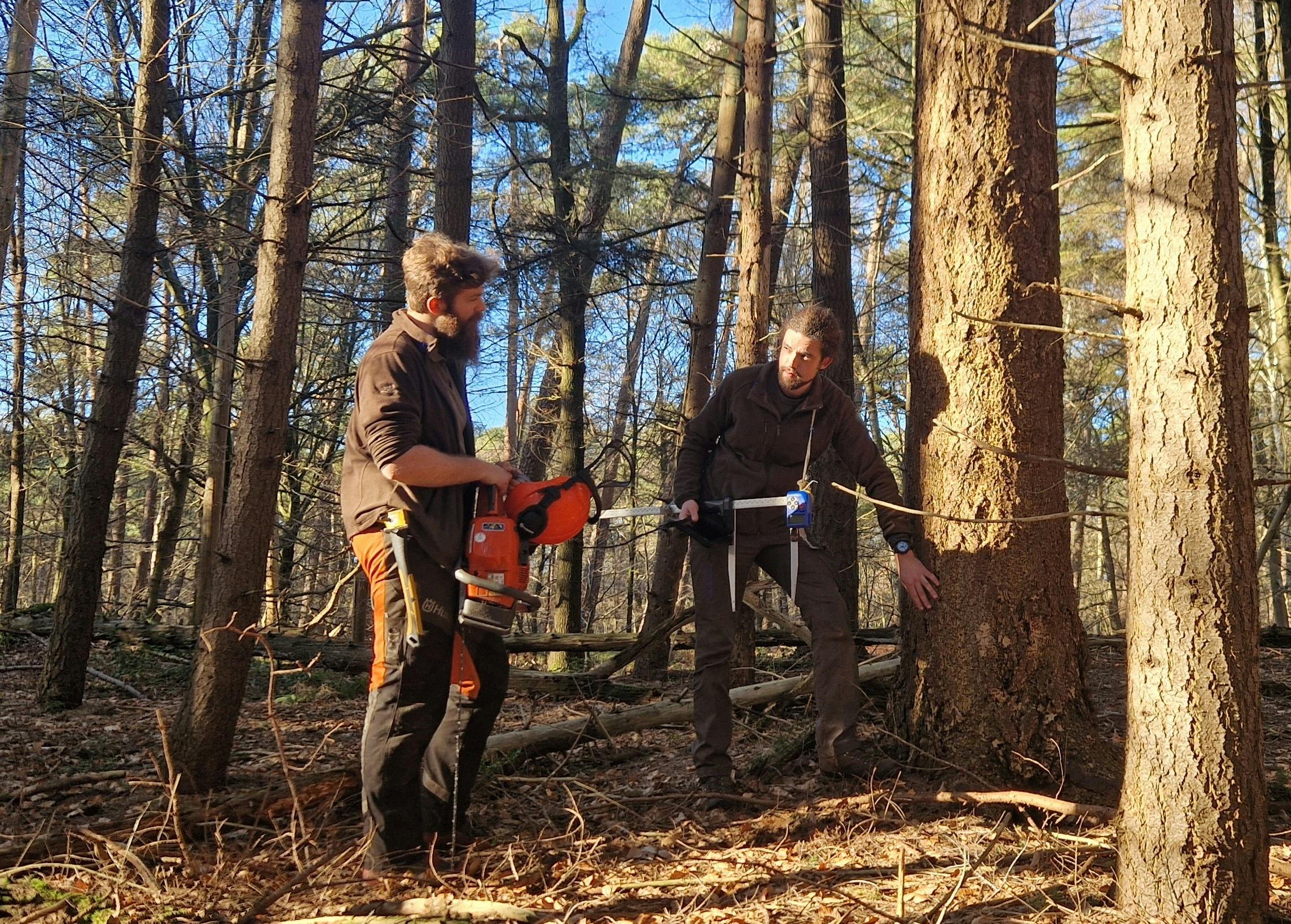 Boswachter, bos- en natuurbeheerder