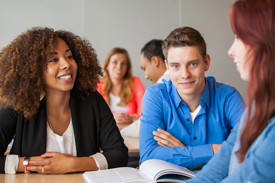 Academie Verloskunde Amsterdam en Groningen (Hogeschool Inholland)