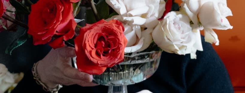 Studio 9 7/6 project 2023 portfolio website ux ui front end dev