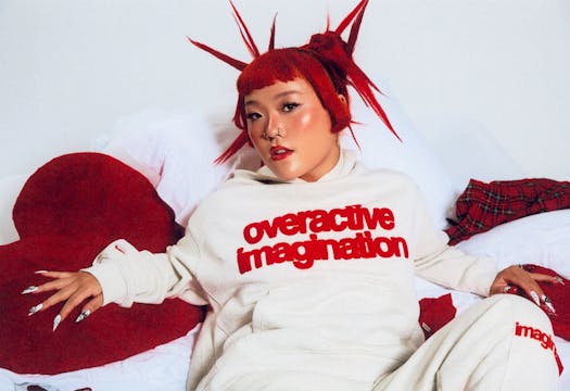 Overactive imagination hoodie