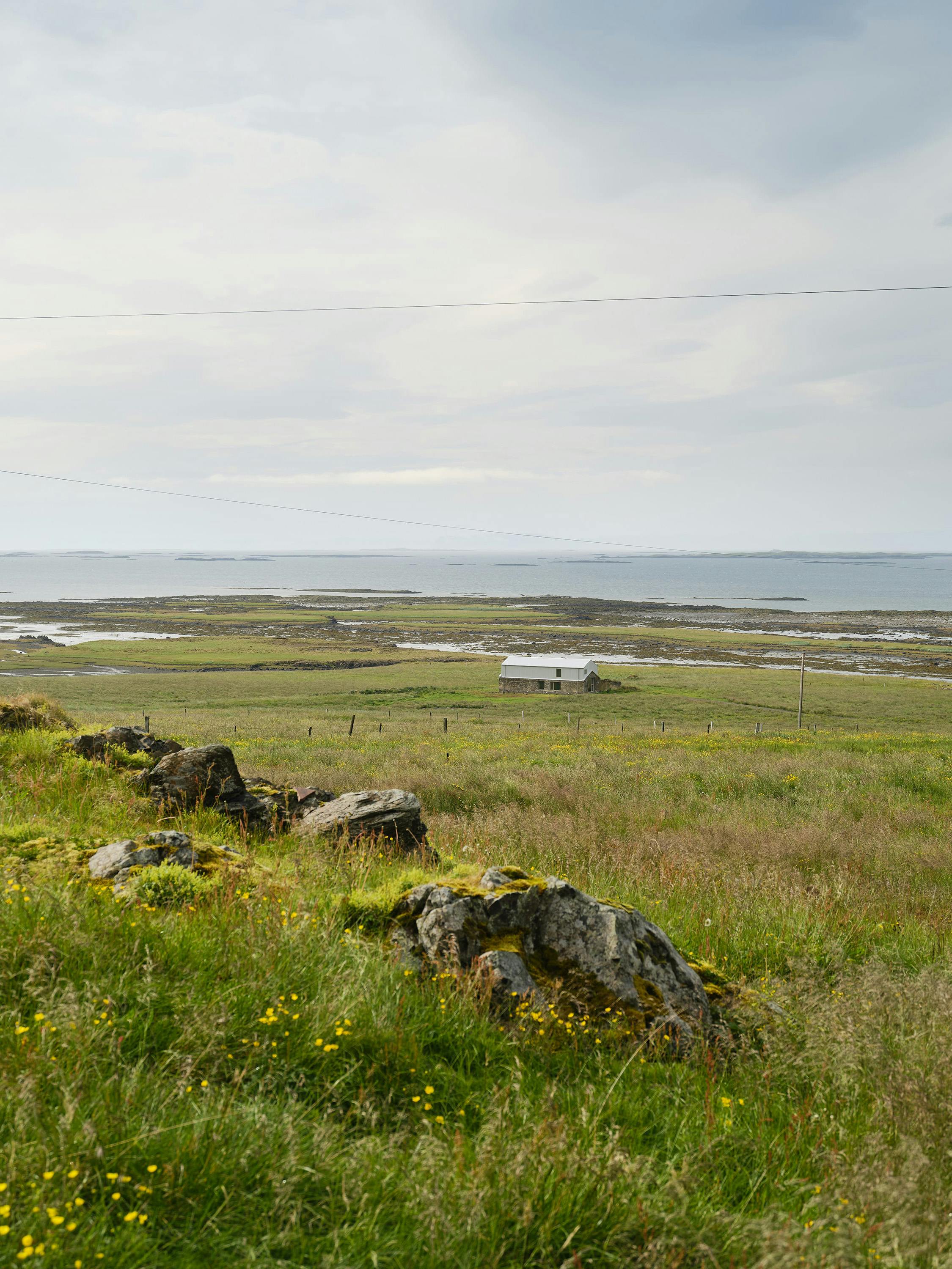A slightly elevated, eye-level photograph of a rural landscape with a building in the distance. The foreground features a grassy hillside with large, dark rocks covered in moss and lichen. Yellow wildflowers are scattered throughout the grass. In the middle ground, a flat expanse of grassy land stretches to a body of water with a light gray building situated in the center. The body of water extends to the horizon, where a light grey sky is visible. A power line runs diagonally across the middle ground. The overall aesthetic is natural and expansive, showing the vastness of the landscape and the small scale of the building.