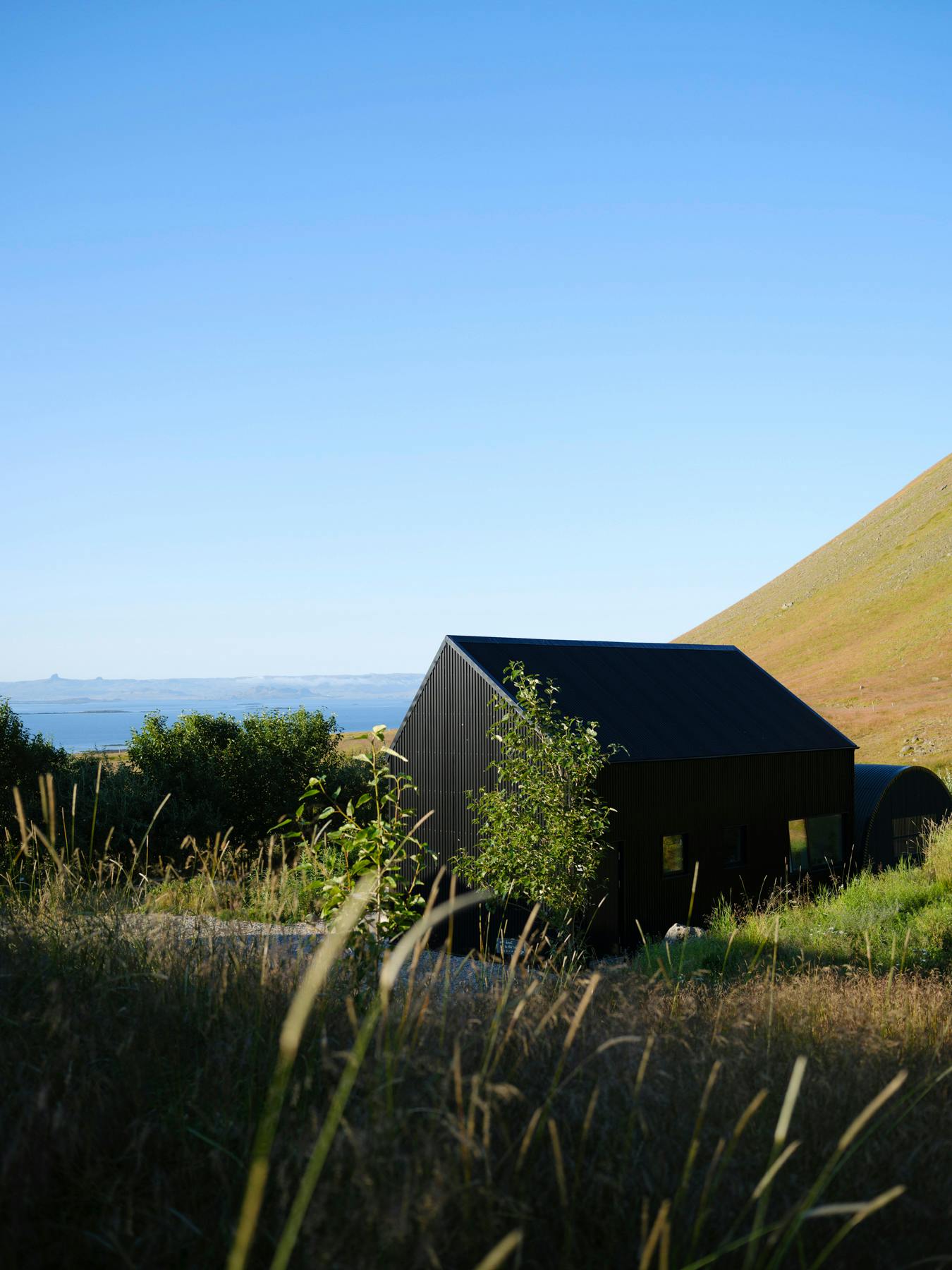 A contemporary building with a dark facade and pitched roof is situated in a field of tall, dry grasses. A water view and distant hills are visible in the background. Trees and plants are in the foreground. The sky is clear and blue. A project by London-based Studio Bua
