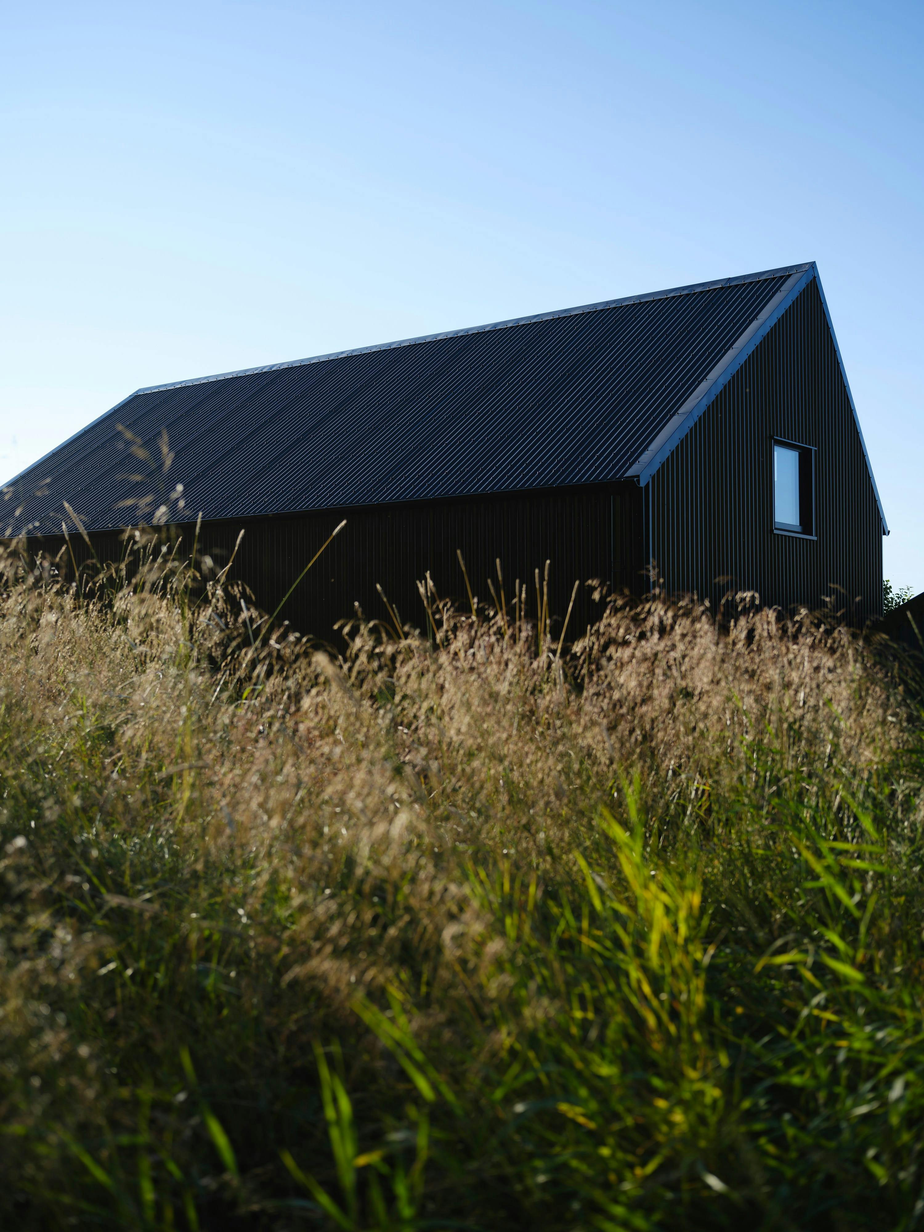 A contemporary building with a dark facade and pitched roof is situated in a field of tall, golden grasses. A single, small window is visible on the side of the building. The sky is clear and blue.