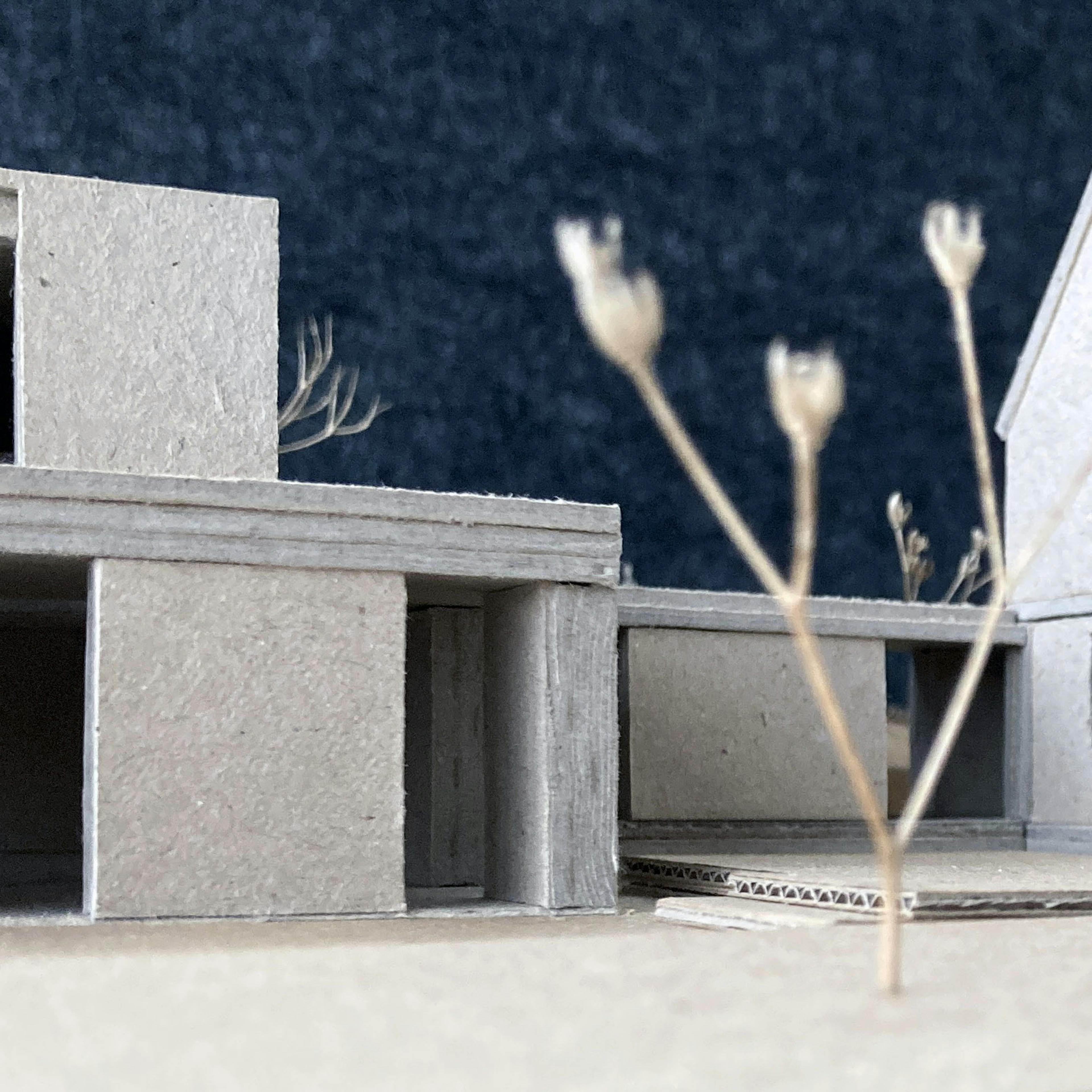 A close-up shot of a cardboard architectural model with geometric shapes and openings. Dried plant stems are placed in front of the model, blurring the background. The model features textured cardboard and a dark blue background.