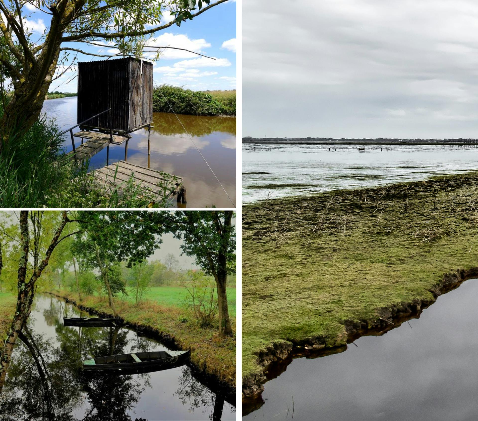 Photographies du Brivet, rivière des Pays de la Loire.