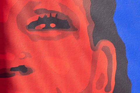 Focus sur le visage de Marielle Amant, l'une des athlètes représentée sur ce projet street art de basket.