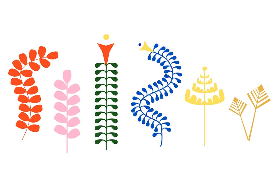 Illustrations de plantes selon le langage visuel de Loudéac.