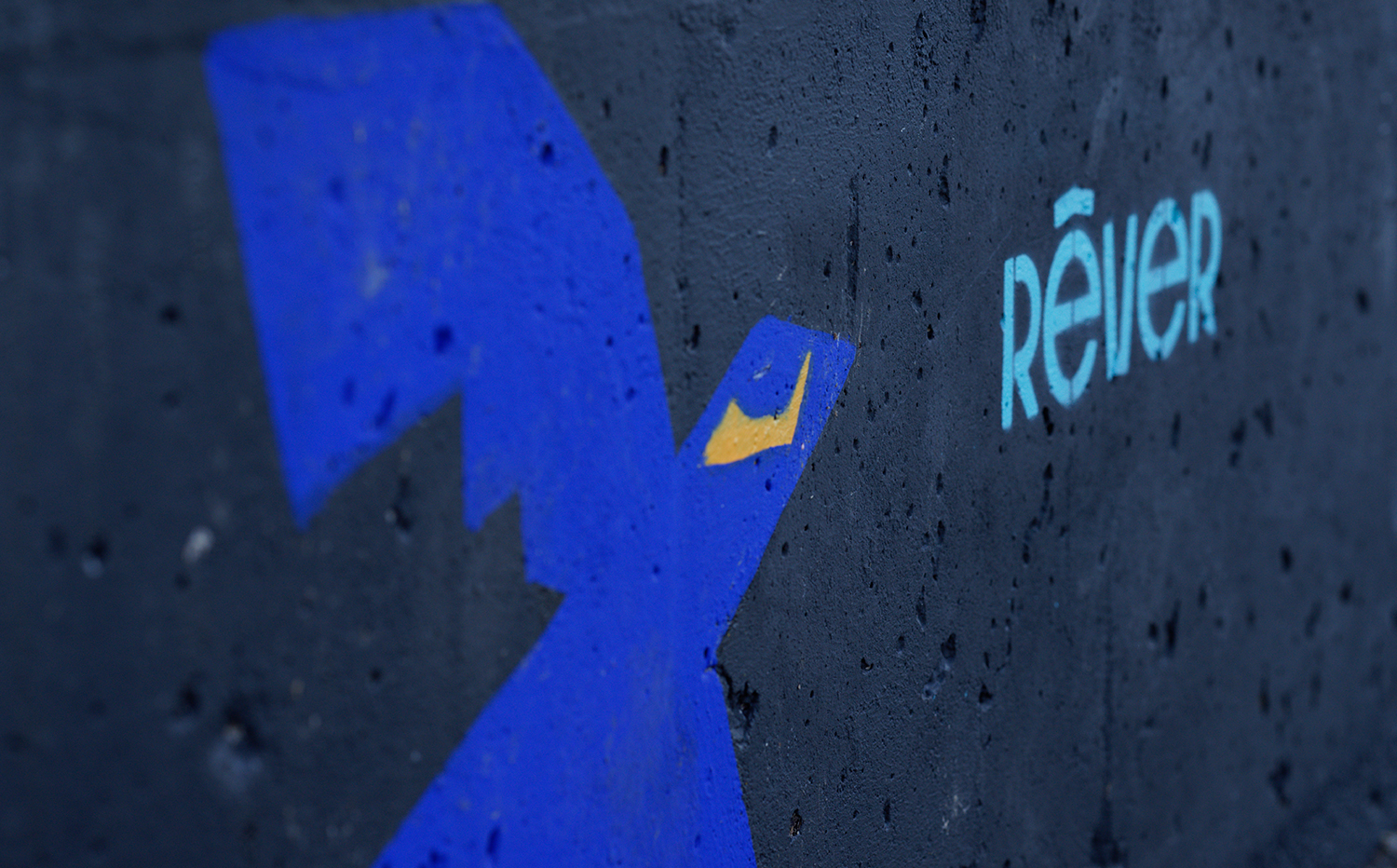 Focus sur un pan de mur représentant le rêve selon l'identité graphique de la zone libre d'art de Transfert.