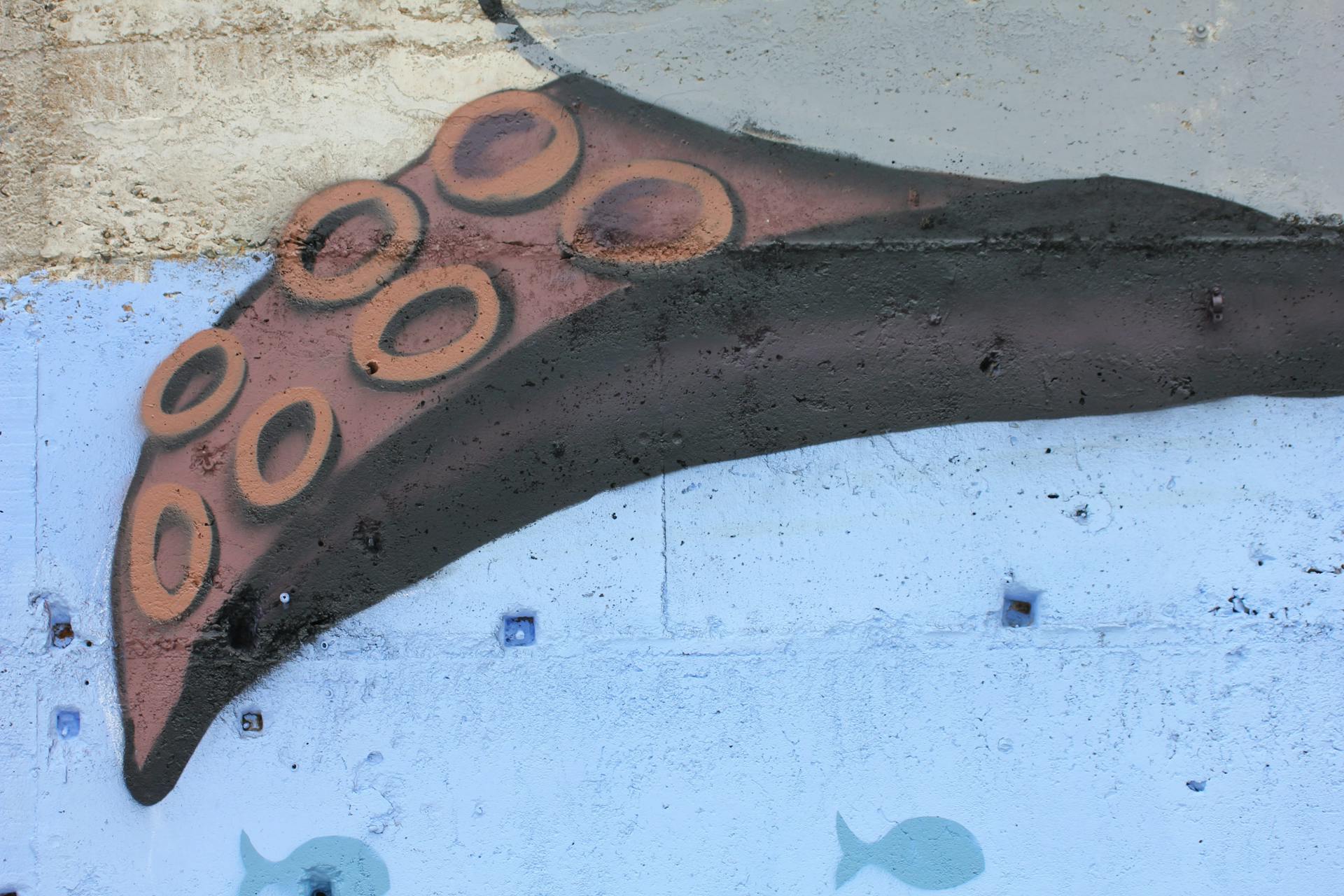 Fresque murale Fresqu'Île réalisée par l'agence de design Katra. Une partie de la fresque représente un tentacule de pieuvre. 