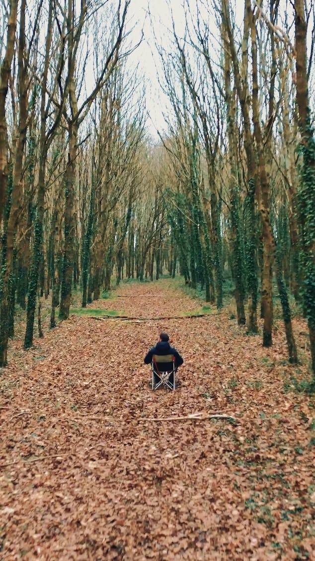 Camille Pansard, directeur artistique chez Studio Katra, réalise un trailer pour le V and B Fest 2024, assis sur une chaise au milieu des bois.