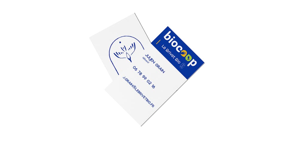 Principes de cartes de visite selon la nouvelle identité de marque de la Biocoop le Brivet Bio.