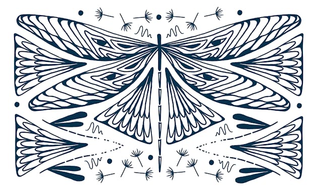 Motif de sérigraphie représentant une libellule, réalisé par Clémence Regnier et Studio Katra.