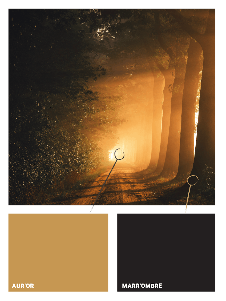 Choix colorimétriques de la nouvelle identité visuelle de Sagesse des Sols.