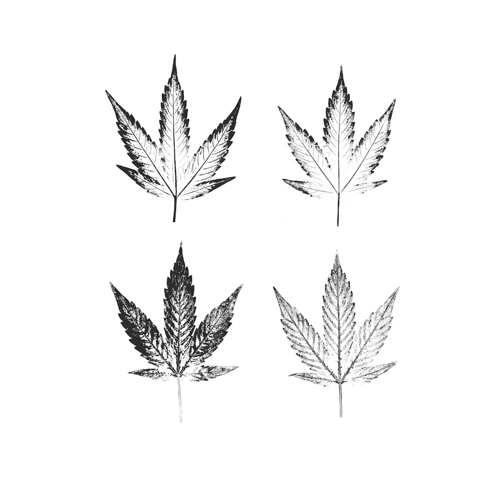 Design de marque de "Le Bon Chanvre", logo basé sur des linogravures de feuilles de chanvre.