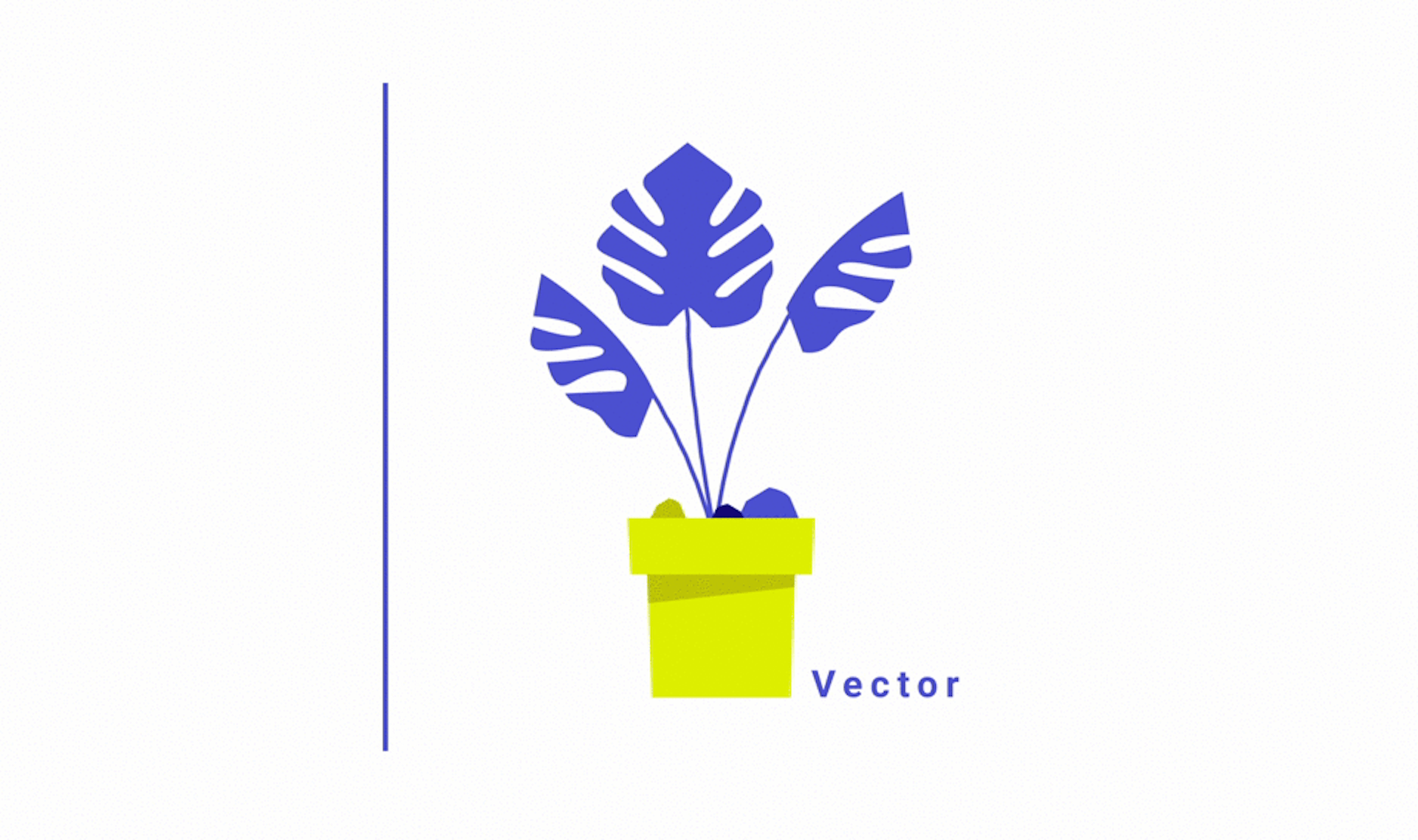 GIF animation de texturing et de vectorisation d'une illustration de plante by Studio Katra.
