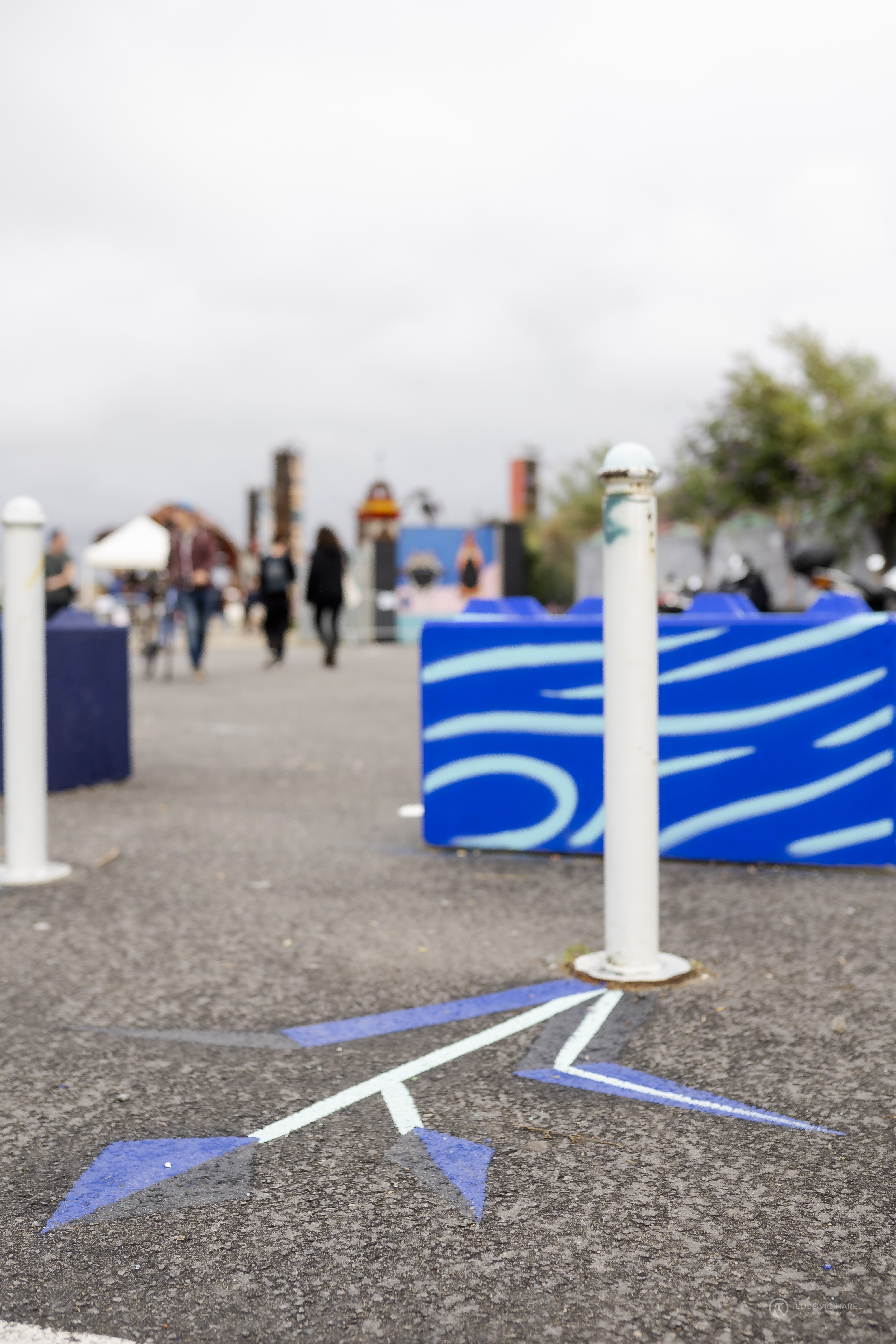 Gros plan sur une fleur reprenant l'identité de la zone libre d'art de Transfert.