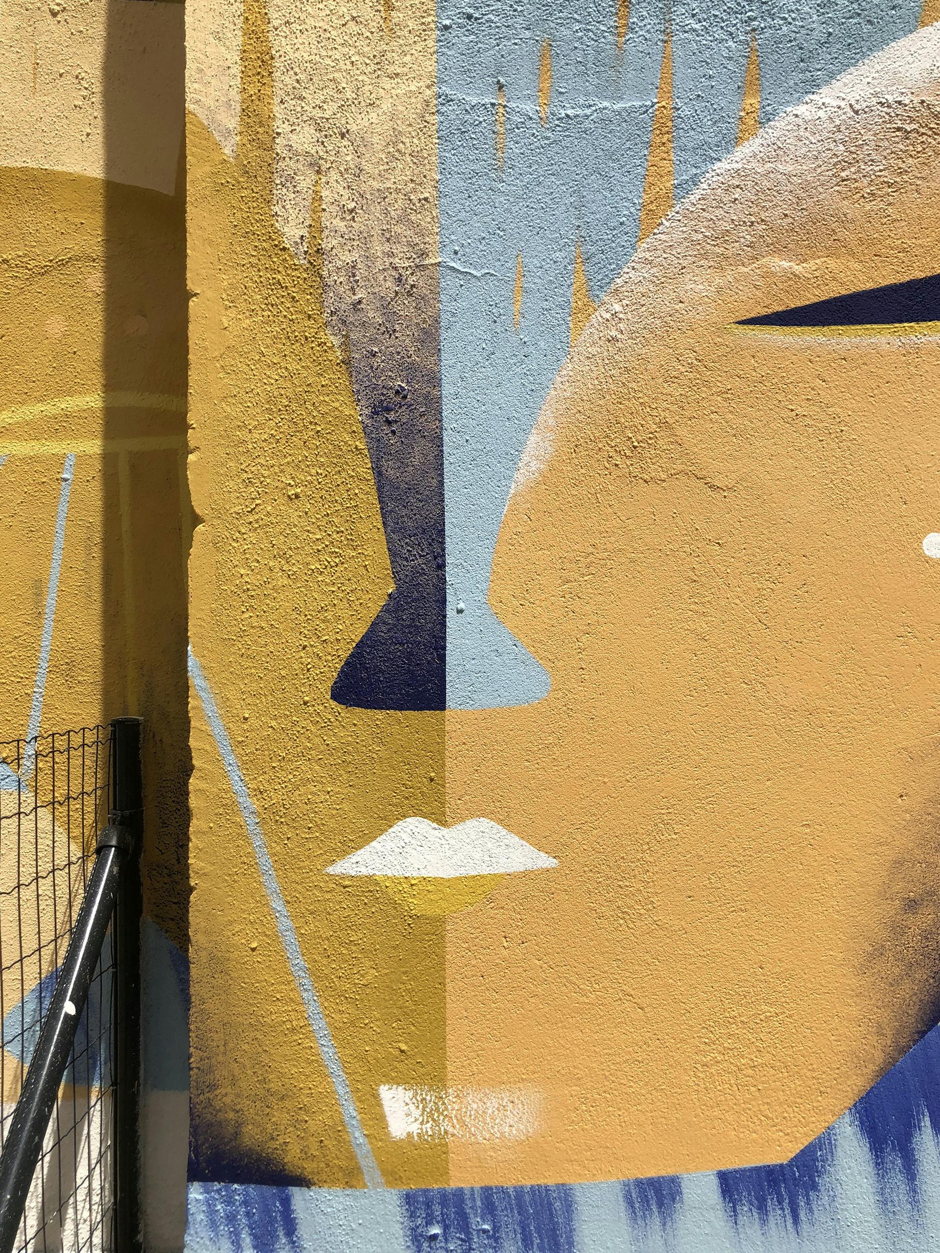 Proximité avec l'un des éléments principaux d'une œuvre street art du Studio Katra. La photo met en valeur un visage double face aux yeux mi-clos. 