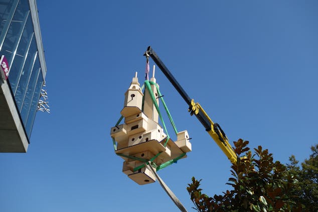 Installation d'un nichoir à oiseaux en bois devant la gare de Nantes.