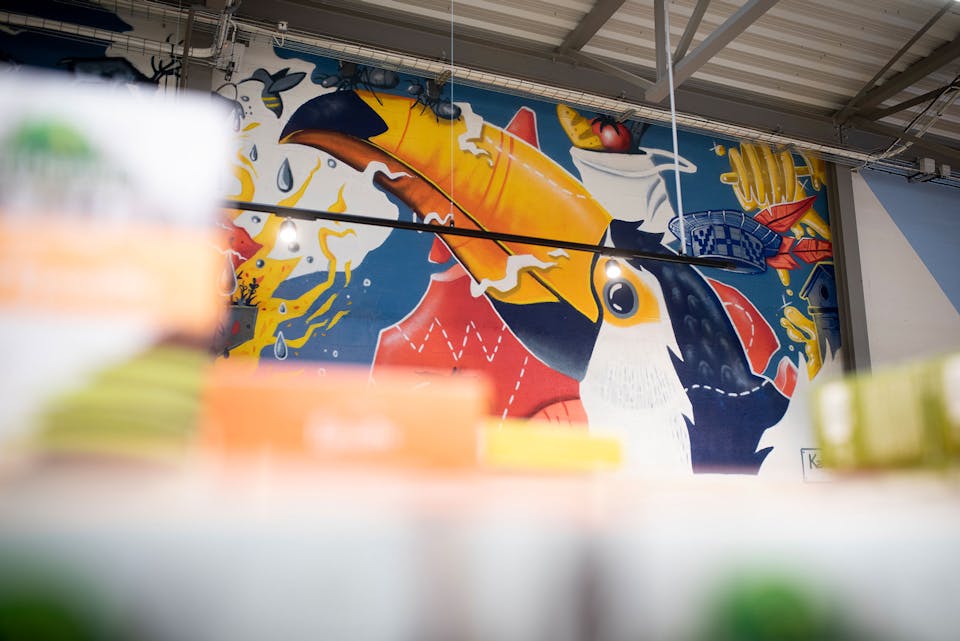 Une fresque murale intérieure représentant un toucan, aperçue depuis les rayons d'un magasin.
