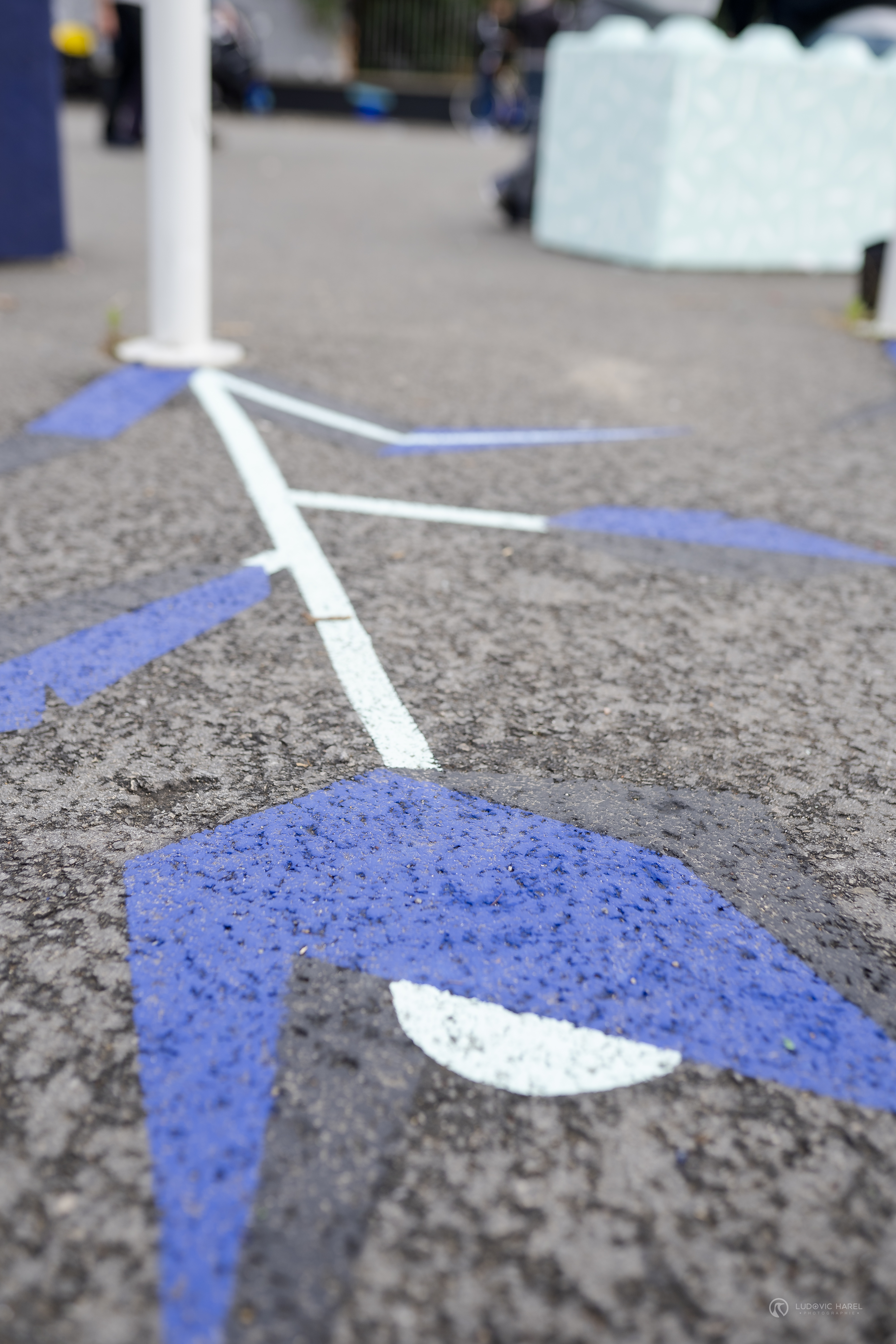 Gros plan sur une illustration d'une fleur aux couleurs de la zone libre d'art de Transfert.