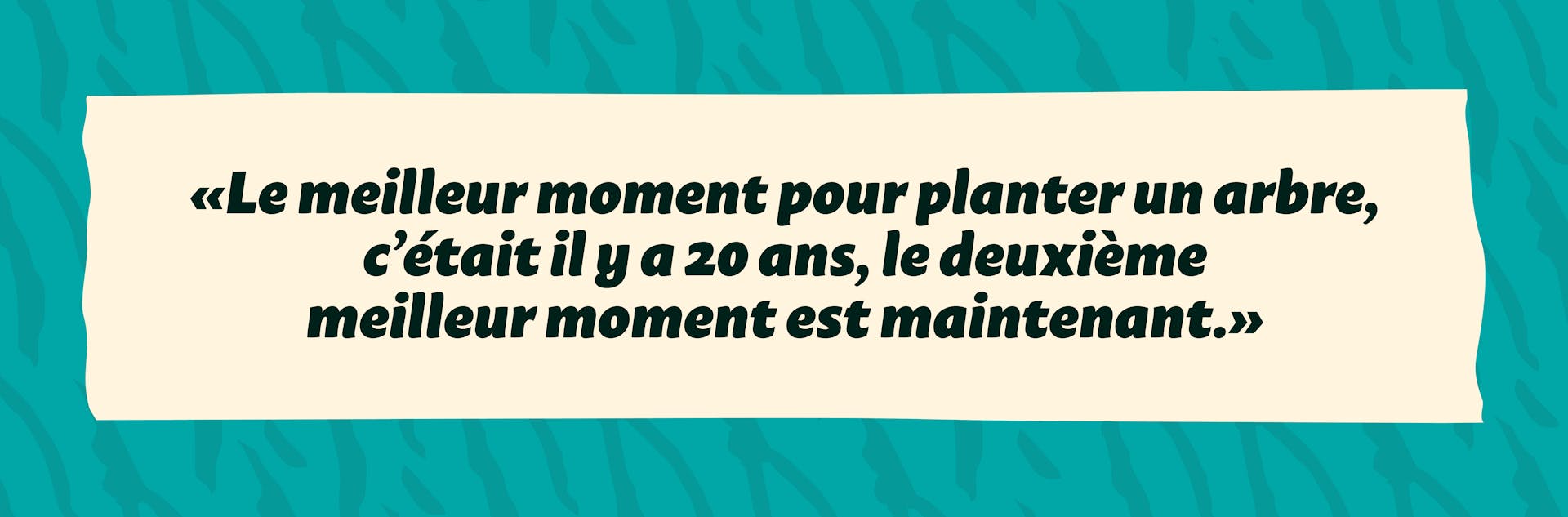 dicton : «Le meilleur moment pour planter un arbre, c’était il y a 20 ans, le deuxième  meilleur moment est maintenant.​»