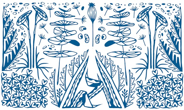 Motif de sérigraphie représentant la végétation du Brivet, réalisé par Clémence Regnier et Studio Katra.